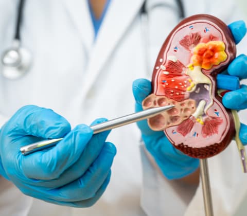 Nephrology Overview