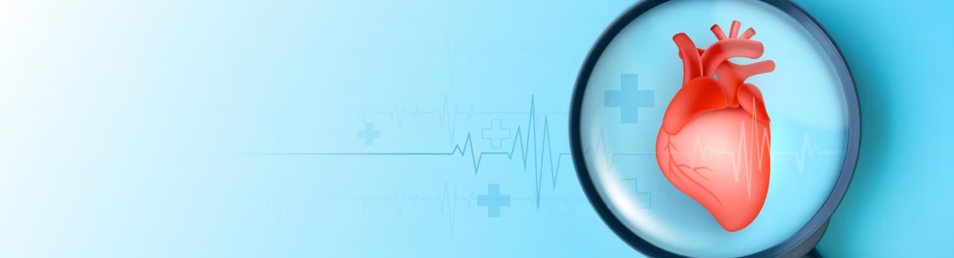 Echocardiography Procedure